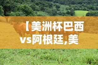 【美洲杯巴西vs阿根廷,美洲杯巴西vs阿根廷录像回放】