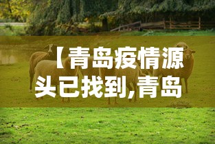 【青岛疫情源头已找到,青岛 疫情 源头】