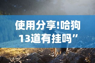使用分享!哈狗13道有挂吗	”(透视挂)最新辅助详细教程