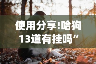使用分享!哈狗13道有挂吗”(透视挂)最新辅助详细教程