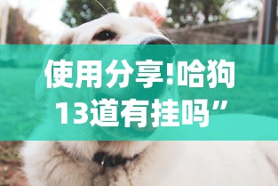 使用分享!哈狗13道有挂吗”(透视挂)最新辅助详细教程