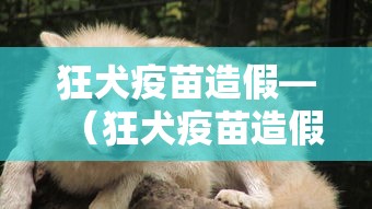 狂犬疫苗造假—（狂犬疫苗造假致人死亡）