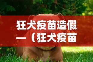 狂犬疫苗造假—（狂犬疫苗造假致人死亡）