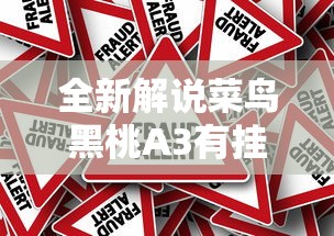 全新解说菜鸟黑桃A3有挂吗”分享必要外挂教程