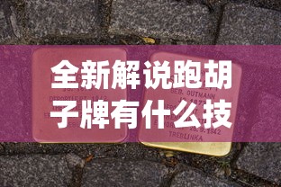全新解说跑胡子牌有什么技巧”开挂(透视)辅助教程