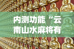 内测功能“云南山水麻将有没有挂”(果然有透视挂)