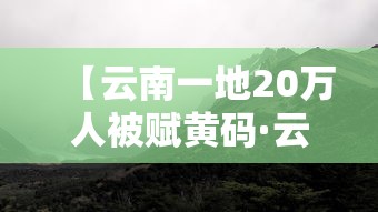 【云南一地20万人被赋黄码·云南健康码出现黄码】