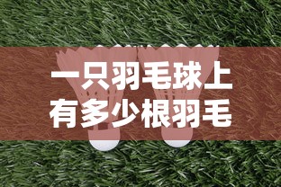 一只羽毛球上有多少根羽毛›一个羽毛球上有多少羽毛