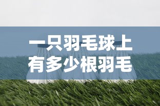 一只羽毛球上有多少根羽毛›一个羽毛球上有多少羽毛
