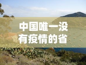 中国唯一没有疫情的省—（全国唯一没有疫情的地区）