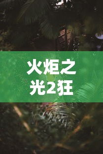 火炬之光2狂战加点 → 火炬之光2狂战加点攻略