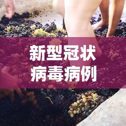 新型冠状病毒病例症状—（新型冠状肺炎病毒病例）