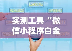 实测工具“微信小程序白金岛辅助器”(确实是有挂)知乎