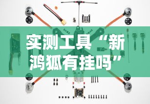 实测工具“新鸿狐有挂吗”事实上确实有挂