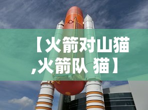 【火箭对山猫,火箭队 猫】 【火箭对山猫,火箭队 猫】