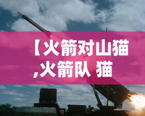 【火箭对山猫,火箭队 猫】