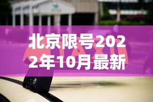 北京限号2022年10月最新限号 → 北京限号2021年10月