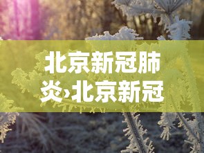 北京新冠肺炎›北京新冠肺炎病毒现在的情况