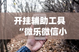 开挂辅助工具“微乐微信小程序开挂”(透视)开挂详细教程