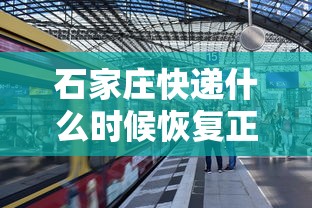 石家庄快递什么时候恢复正常：石家庄快递什么时候全面恢复