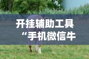 开挂辅助工具“手机微信牛牛真的可以控制吗”(果然有透视挂)