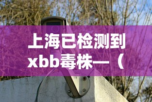 上海已检测到xbb毒株—（上海病毒源）