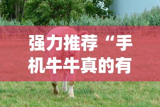 强力推荐“手机牛牛真的有挂吗”开挂(透视)辅助