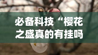 必备科技“樱花之盛真的有挂吗”(确实有挂)