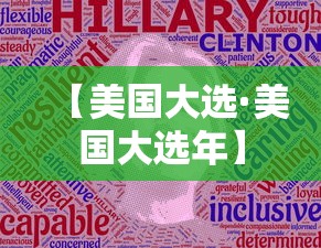 【美国大选·美国大选年】