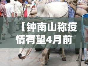 【钟南山称疫情有望4月前结束,钟南山谈疫情什么时候结束】