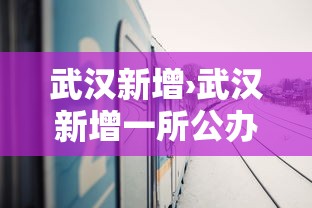 武汉新增›武汉新增一所公办本科高校,正在公示