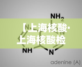 【上海核酸·上海核酸检测退款事件】
