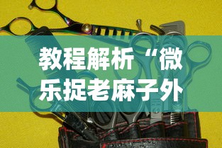 教程解析“微乐捉老麻子外卦神器下载安装”(必备工具)辅助教学