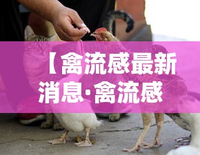 【禽流感最新消息·禽流感最新消息今天新闻】