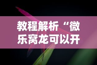教程解析“微乐窝龙可以开挂吗”详细分享装挂