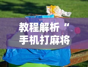教程解析“手机打麻将怎么打才能赢”详细开挂教程