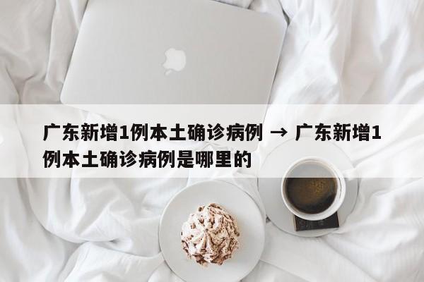 广东新增1例本土确诊病例 → 广东新增1例本土确诊病例是哪里的